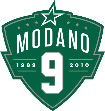 Dallas Stars 2014 Special Event Logo v2 DIY iron on transfer (heat transfer)